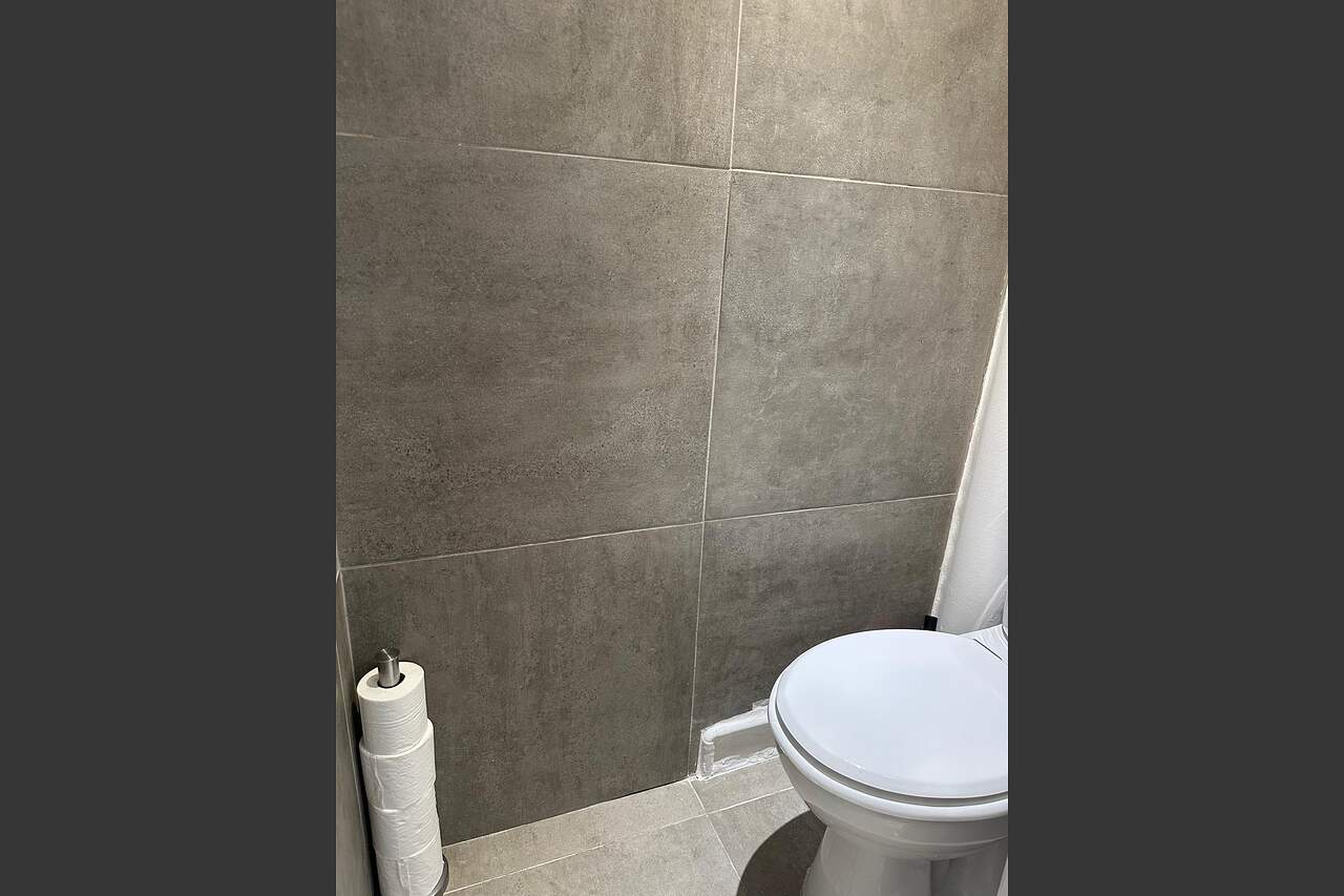 The toilet